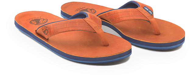 Hari Mari X Nokona // Generation - Slipper (720x450), Png Download