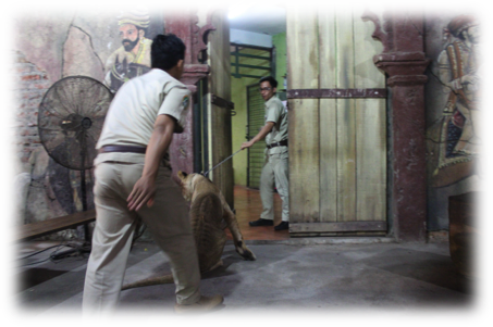 Image011 - Macaque (453x301), Png Download