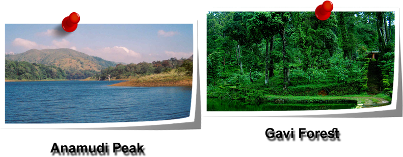 Periyar National Park And Wildlife Sanctuary Is A Protected - Tirupati (800x400), Png Download