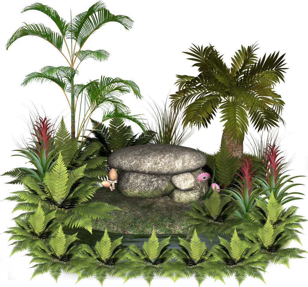 Plants And Rocks - Rocks And Plants Png (922x866), Png Download