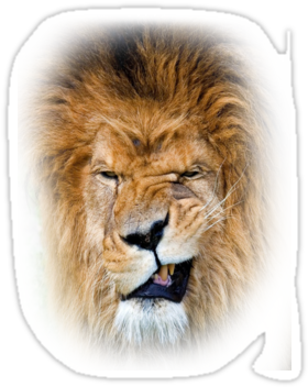 Angry Lion Png - Обои На Телефон Лев (375x360), Png Download