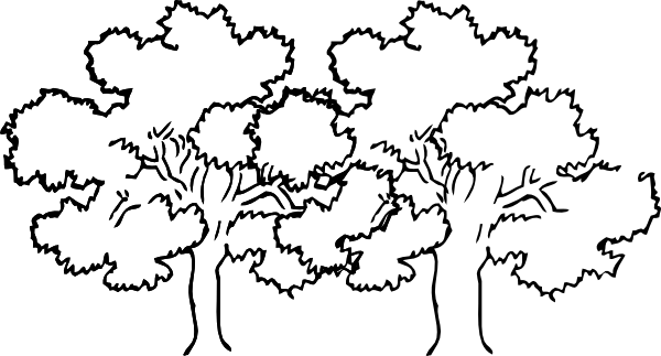 Coloring Pages Of A Narra Tree - Trees Black And White Clip Art (600x323), Png Download