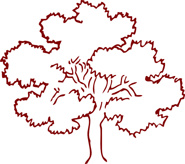 Clip Art Tree Outline - Clip Art Trees Black And White (600x533), Png Download