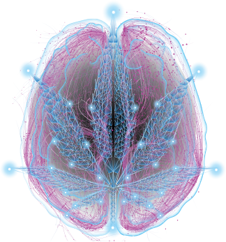 Montag - Freitag 10 - 00 - 19 - 00 - Samstag 10 - 00 - Macro Photography (324x347), Png Download