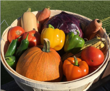 Pumpkin (848x299), Png Download