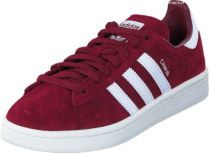Adidas Originals Campus Collegiate Burgundy/ftwr White - Adidas Men's Campus Shoes (705x516), Png Download