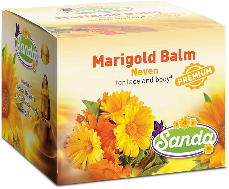 English Marigold (800x800), Png Download