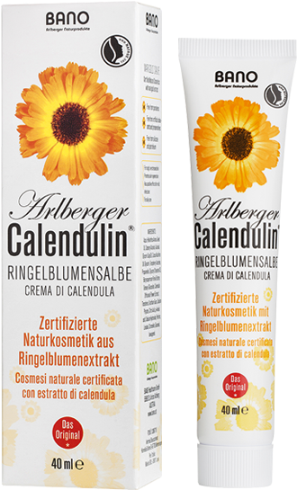 Sunflower (624x624), Png Download