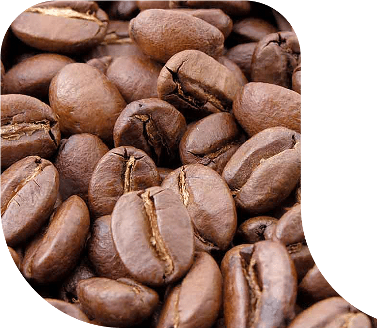 1 Test - Breakfast Blend Fresh Roasted Coffee 1 Grade Arabica (780x684), Png Download