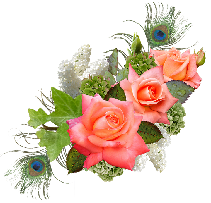 Rose, Rose Flower, Hydrangeas, Lilac, Peacock - Png Format Flowers Hd Png (720x720), Png Download