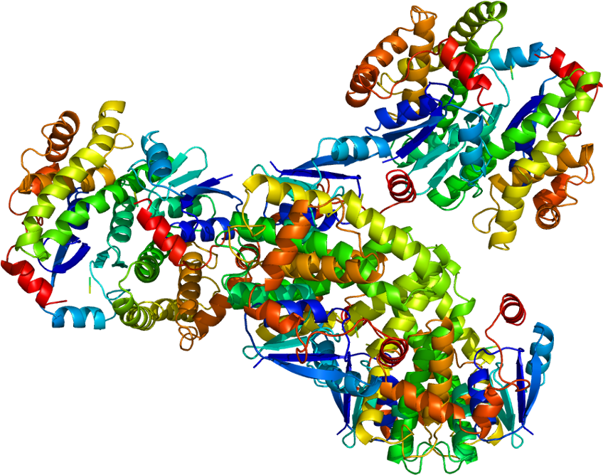 Grand Theft Auto V (897x717), Png Download