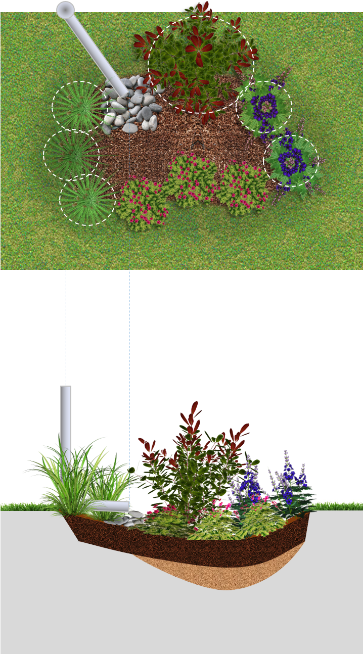 Rain Garden (747x1296), Png Download