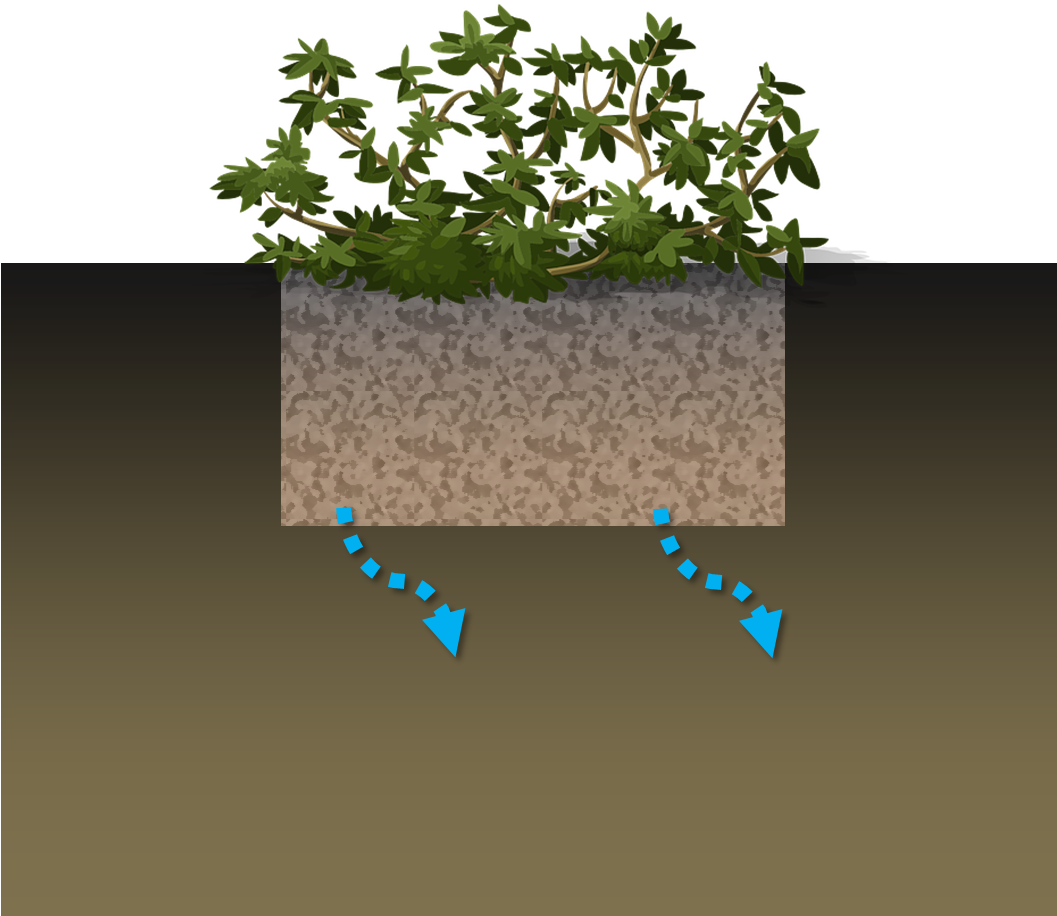 Rain Garden Schematic - Shrub (1056x942), Png Download