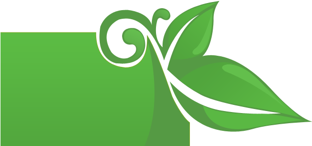 We Design And Install Beautiful Garden Ponds And Waterfalls - Green Leaf Design Png (980x420), Png Download