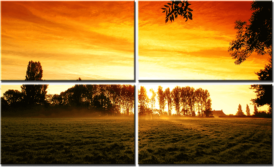 Acoustic Panels Sunrise - Sunset Trees (1000x563), Png Download