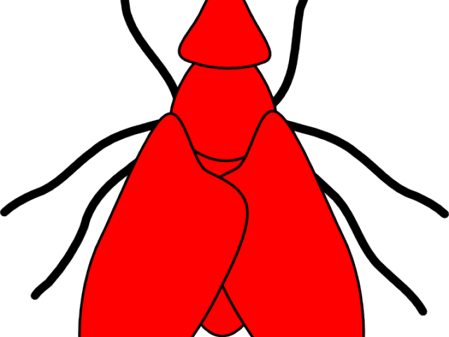 Flying Clipart Red - Drawing (640x480), Png Download