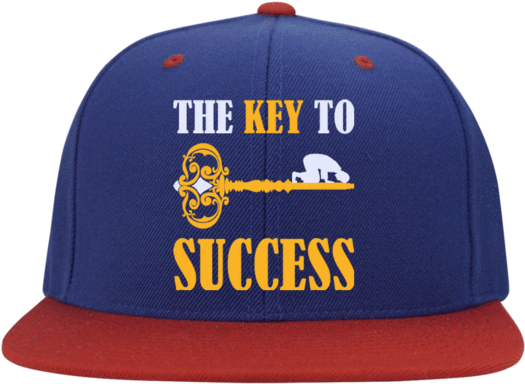 The Key To Success Two-color Cap - Rolling Stones: Rare & Unseen (region 1 Import (530x530), Png Download