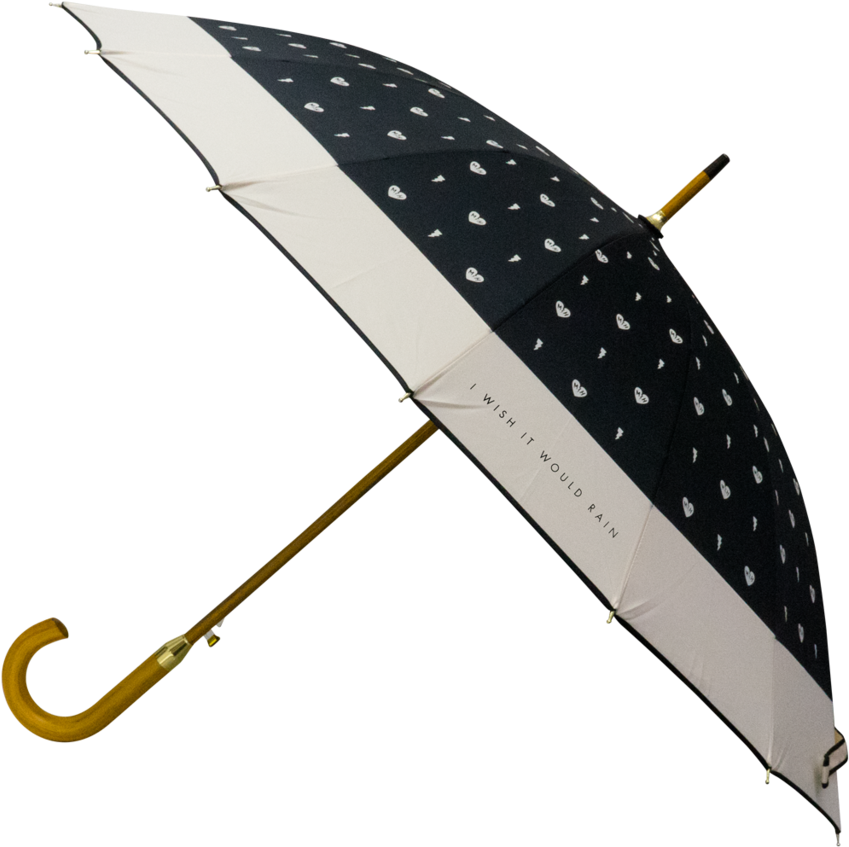 I Wish It Would Rain Umbrella - Mayer Hawthorne I Wish It Would Rain Umbrella (1024x1024), Png Download