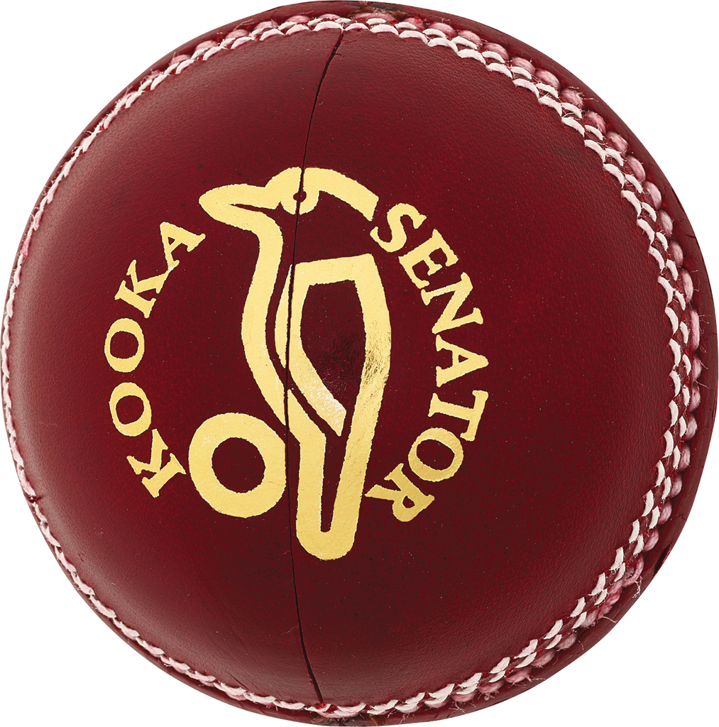 Kookaburra Turf Cricket Ball - 4 Piece Cricket Ball (1013x1024), Png Download