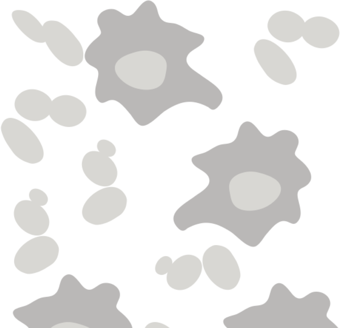 Palani (1200x1130), Png Download