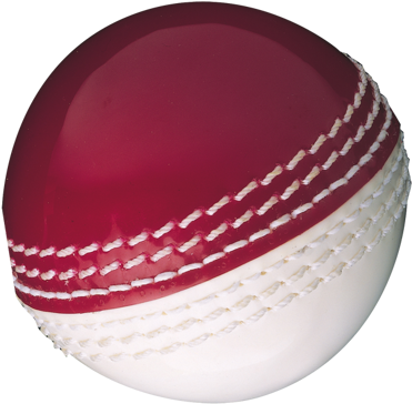 Gunn & Moore Skills Cricket Ball (400x400), Png Download