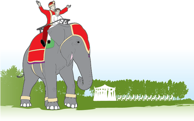 Anatomy How To Book An For Indian - Indian Man On Elephant Wedding (635x424), Png Download