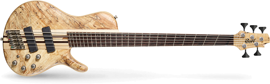 A5 Plus Scms - Cort Action Dlx Plus (980x400), Png Download