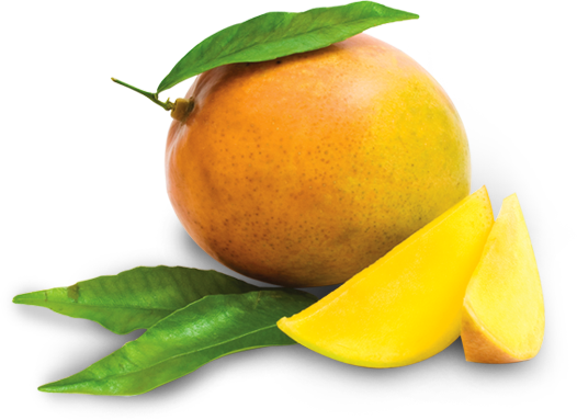 Fundaaz Super Nimbu Pani Fruit Lichi Juice - Mango Fruit Drink Png (526x383), Png Download
