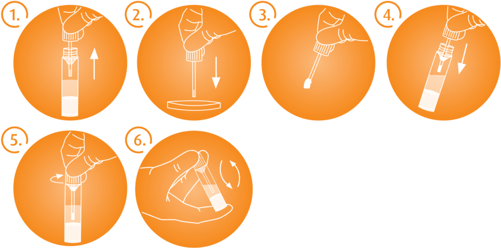 Collect Sample - Wheel (1024x530), Png Download