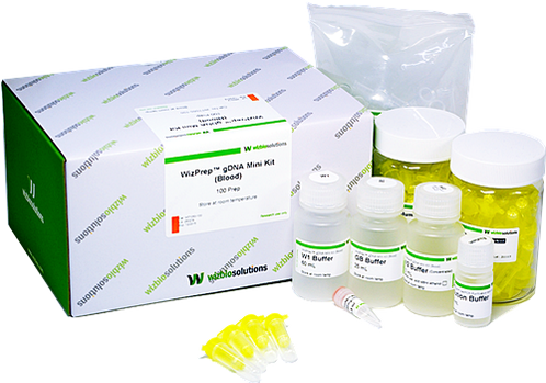 Provides A Fast And Simple Method To Isolate Genomic - Box (498x349), Png Download