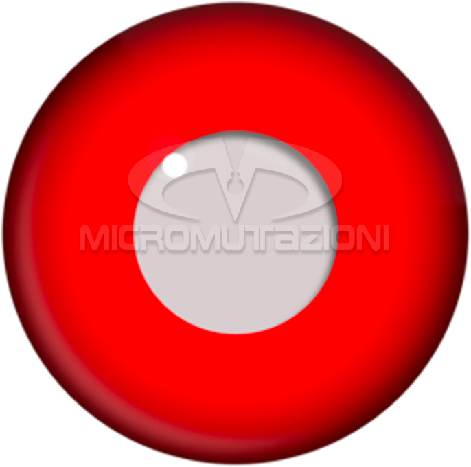 Terror Eyes® Contact Lens - Contact Lens (750x750), Png Download