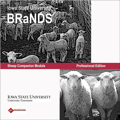 Sheep Brands - Sheep (400x514), Png Download