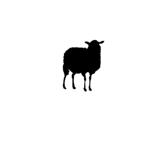 The Black Sheep - Sheep (549x549), Png Download