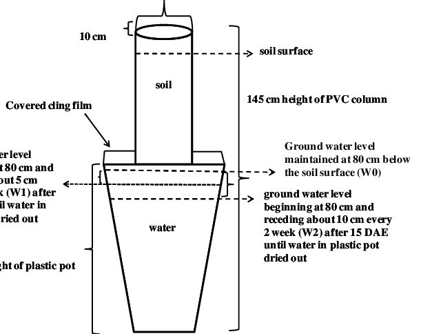 Diagram Of The Soil Column And Pot Water Holding Containers - Soil (611x484), Png Download