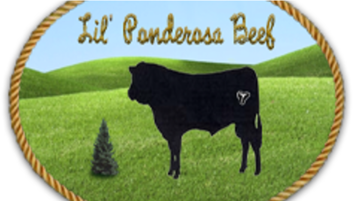 Cattle (704x396), Png Download