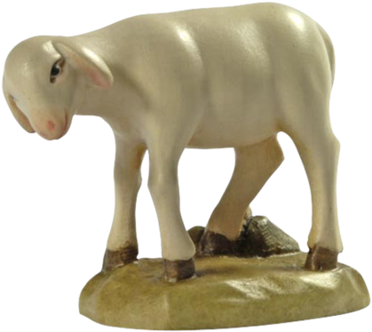 Sheep - Schaf Skincare (900x900), Png Download