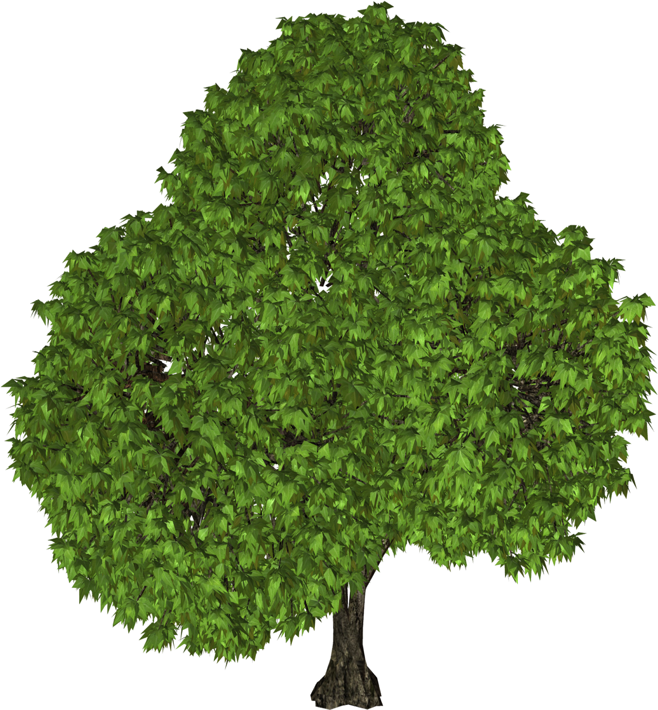 Green Tree Png Clipart - Tree (556x600), Png Download