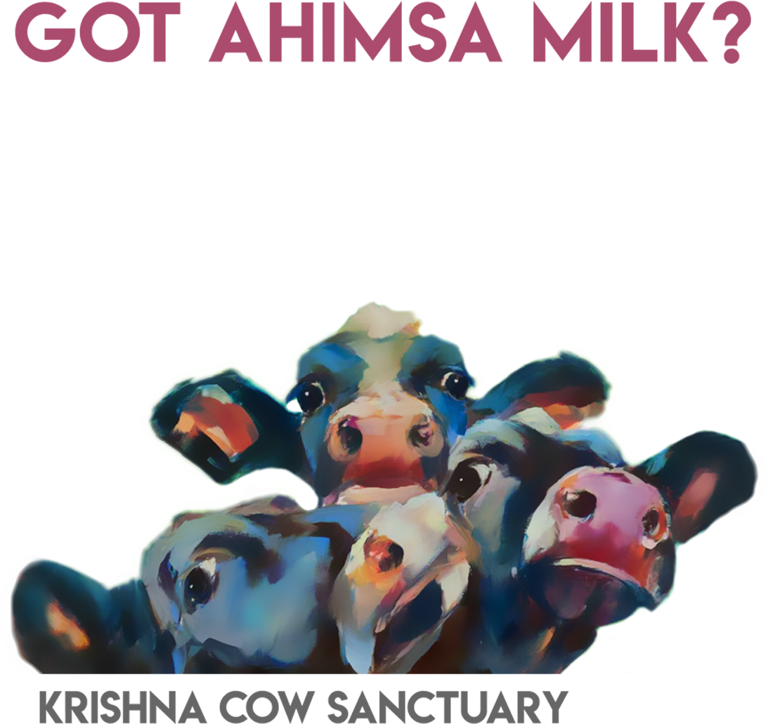 Milk (1125x1125), Png Download