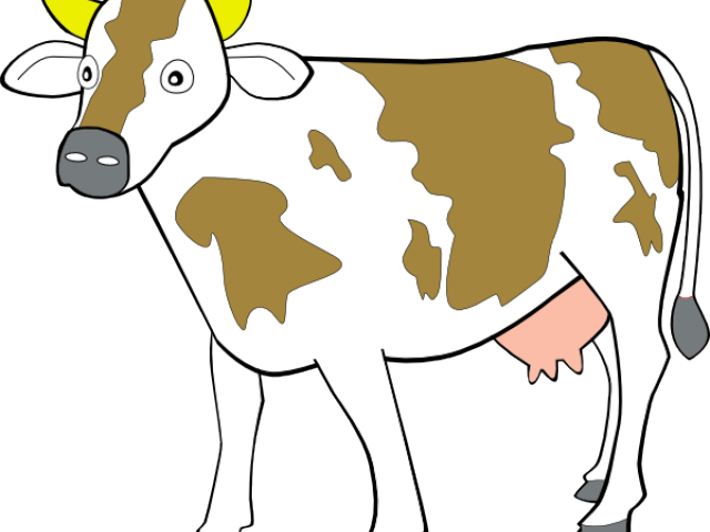 Cattle Clipart Indian Cow - Cow Clip Art (640x480), Png Download