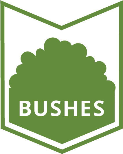For Your Beautiful Bushes And Shrubbery, You Always - Lawn (513x601), Png Download