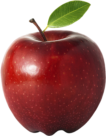 Apples - Apple Fruits (473x600), Png Download