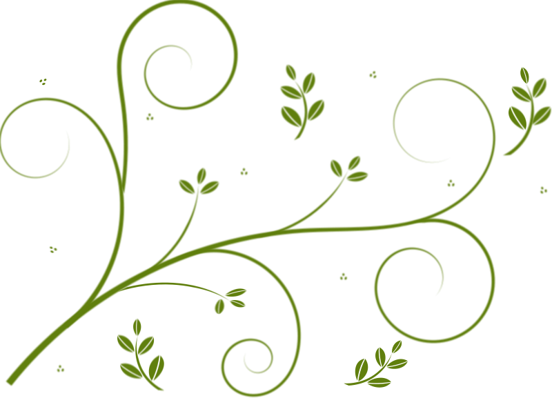 Vine Line Drawing Flower (800x577), Png Download