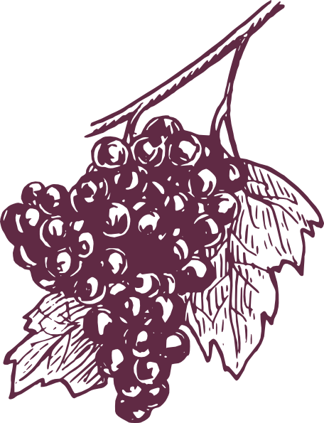 Dark Grapes Clip Art At Clker - Grape (456x595), Png Download