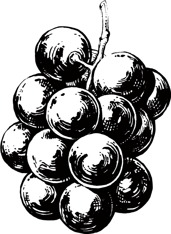 Grape Seed Extract - Grape (800x800), Png Download