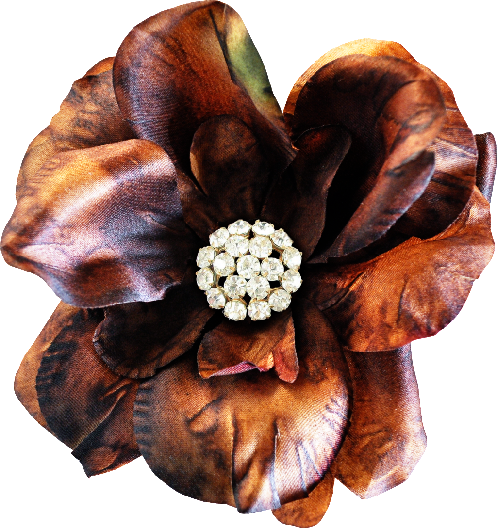 Hand Painted Brown Realistic Flower Png Transparent - Download (1024x1089), Png Download