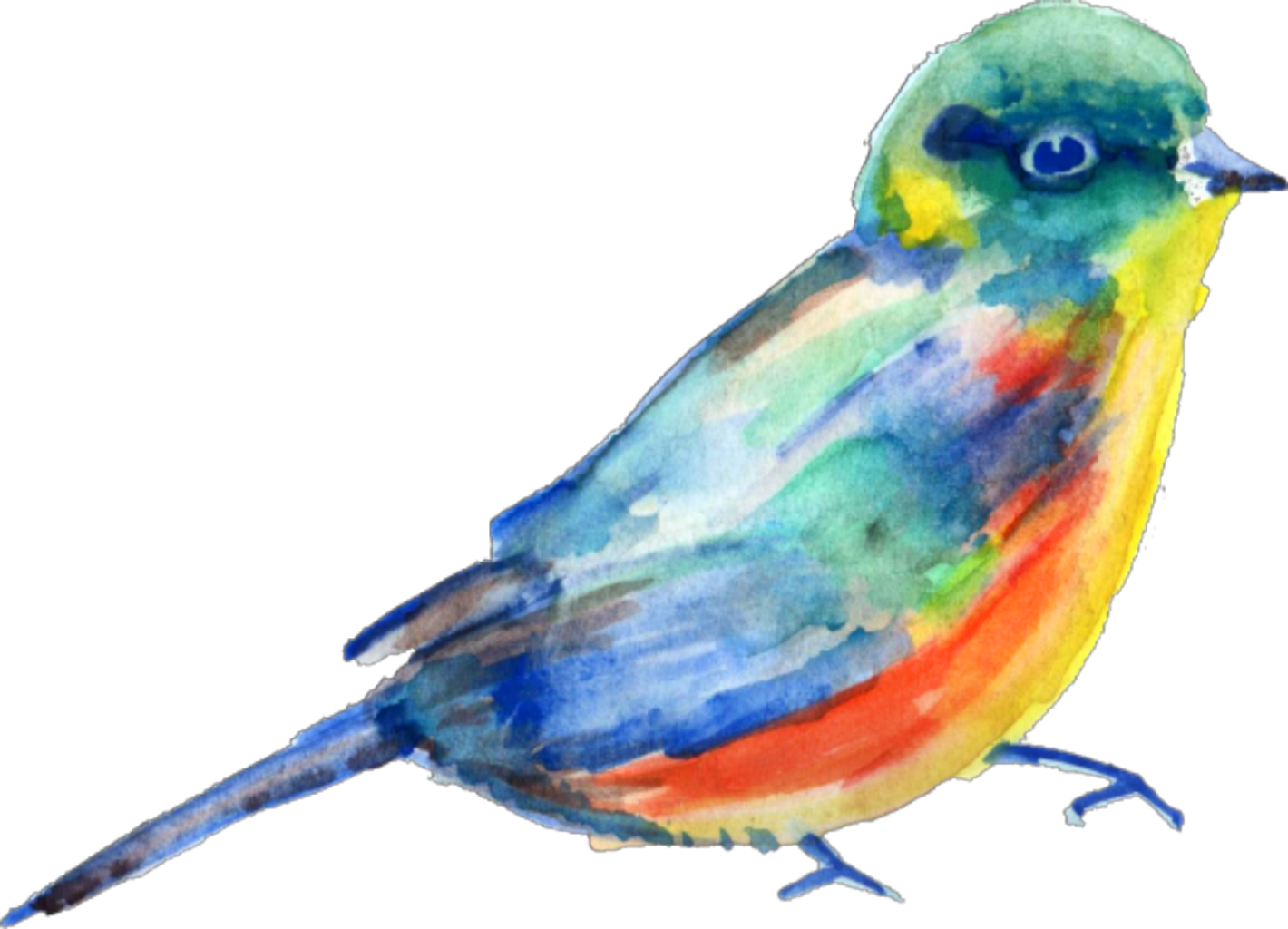 Report Abuse - Bird Painting Png (1420x1024), Png Download