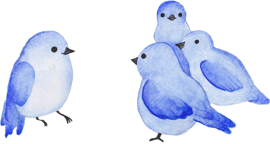 Blue Birds - Mountain Bluebird (1000x1000), Png Download