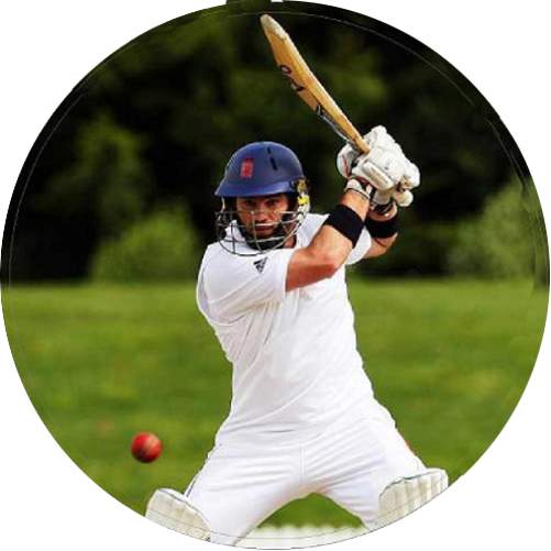 Cricket (501x501), Png Download