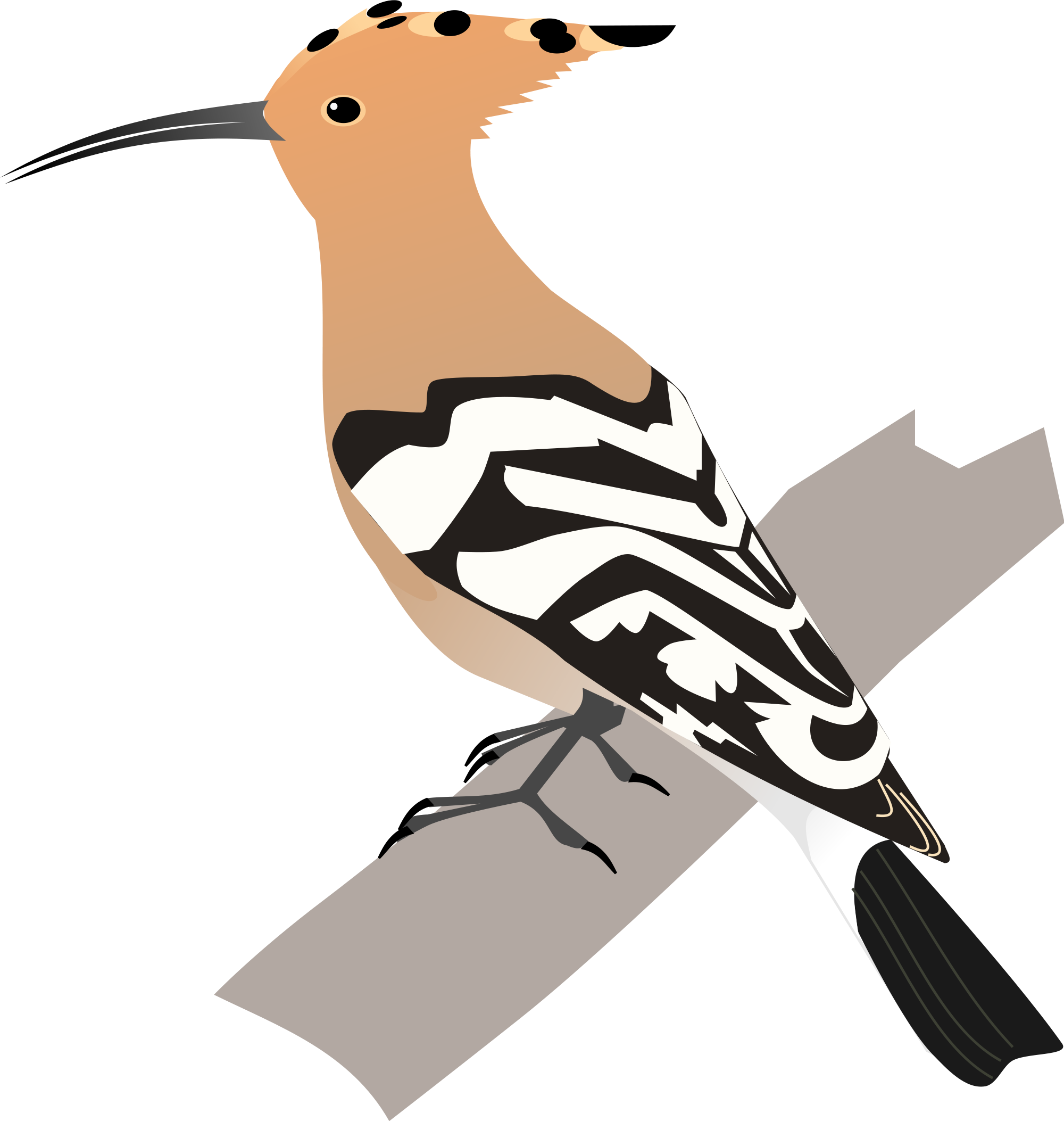 Svg - Hoopoe Bird Animated (2000x2106), Png Download