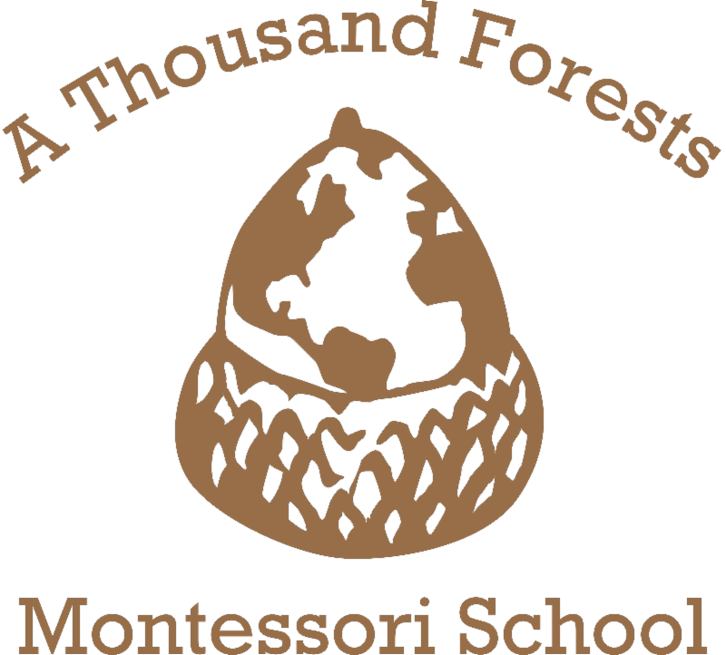 Saluda's Very Own Montessori School For Young Children - Insead (800x722), Png Download